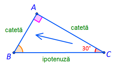 Sea slug produce Higgins Teoreme în triunghiul dreptunghic | Matera.ro