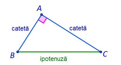 Teoreme în triunghiul dreptunghic | Matera.ro
